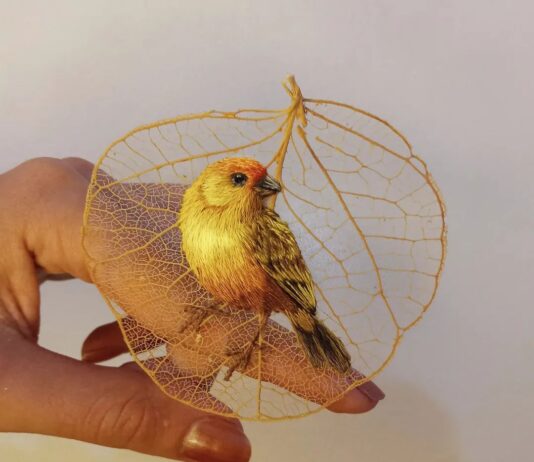 Brazilian Embroidery Artist Uses Dried Leaves as a Canvas