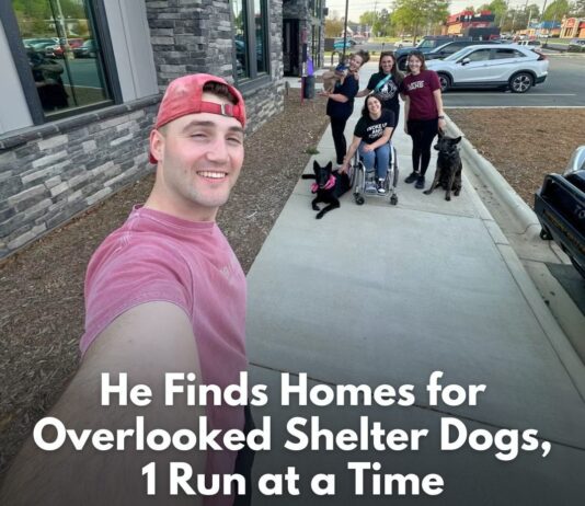 Wesley Swainston is Raising Awareness About Shelter Dogs By Taking Them On Runs