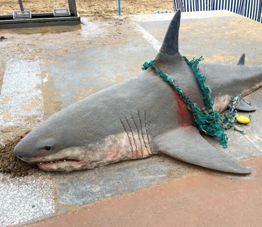 These Amazing Sand Sculptures Look Like Real Animals