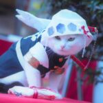 Japanese Artist Creates Cool Anime-Inspired Costumes for His Cats