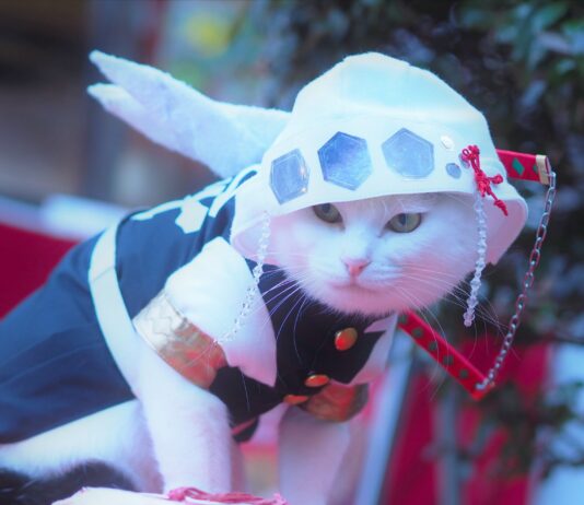 Japanese Artist Creates Cool Anime-Inspired Costumes for His Cats