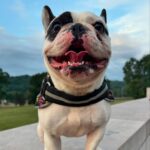 “Demon Dog” Ralphie is Instagram’s Favorite Skater Boy