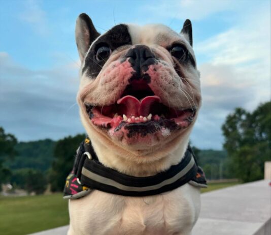 “Demon Dog” Ralphie is Instagram’s Favorite Skater Boy