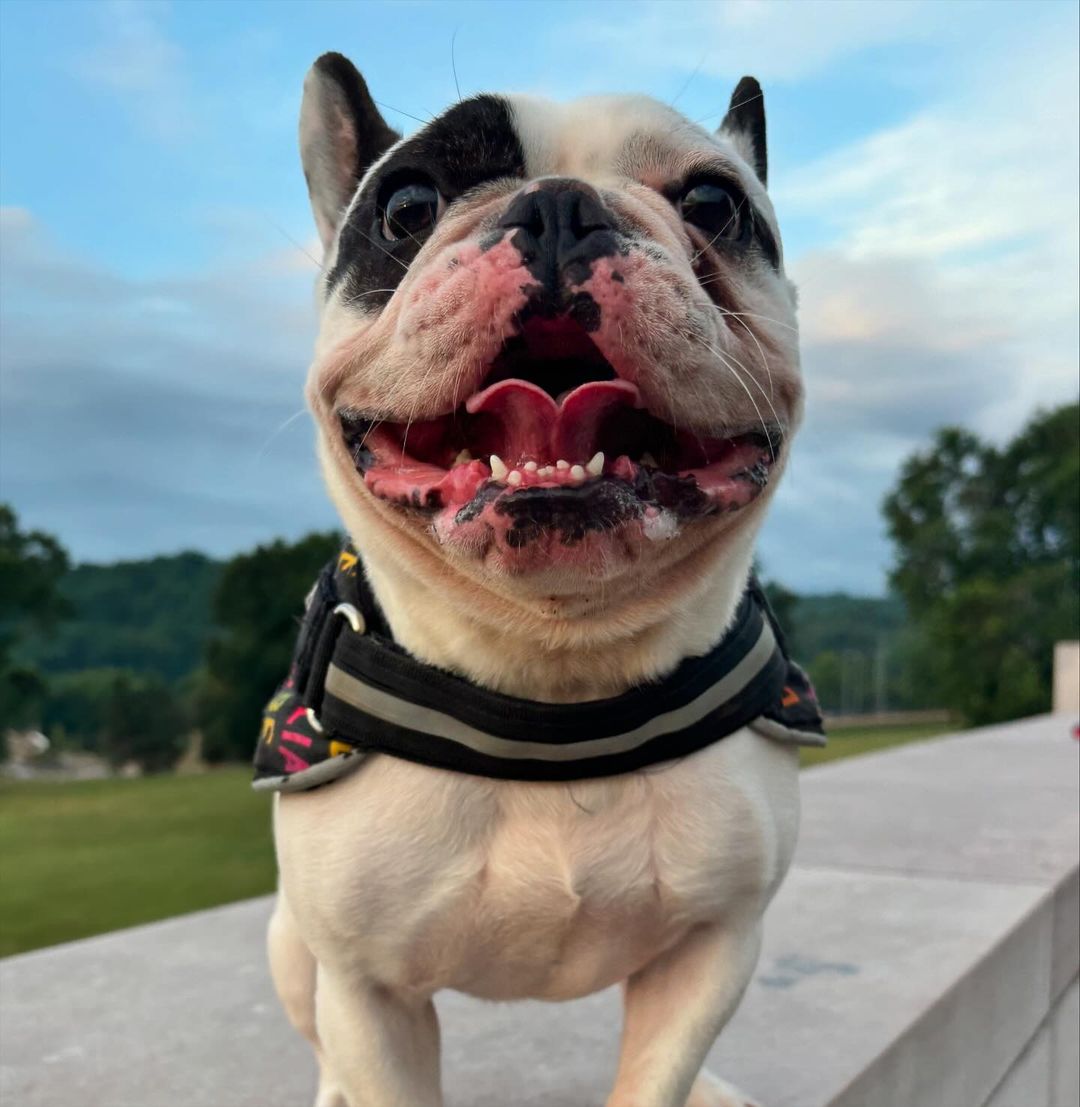 “Demon Dog” Ralphie is Instagram’s Favorite Skater Boy PlayJunkie