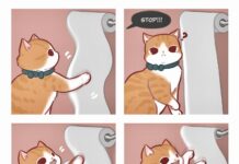 Artist Creates Comics Inspired by Funny Cat Videos