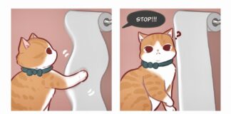 Artist Creates Comics Inspired by Funny Cat Videos