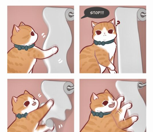 Artist Creates Comics Inspired by Funny Cat Videos