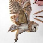 Birds Are Living Their Best Lives in Claire Milligan’s Intricate Drawings