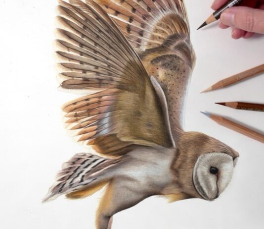 Birds Are Living Their Best Lives in Claire Milligan’s Intricate Drawings