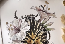 Irene Meniconi’s Watercolor Art Puts Animals Front and Center